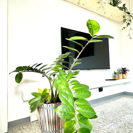 Roses' Apartment